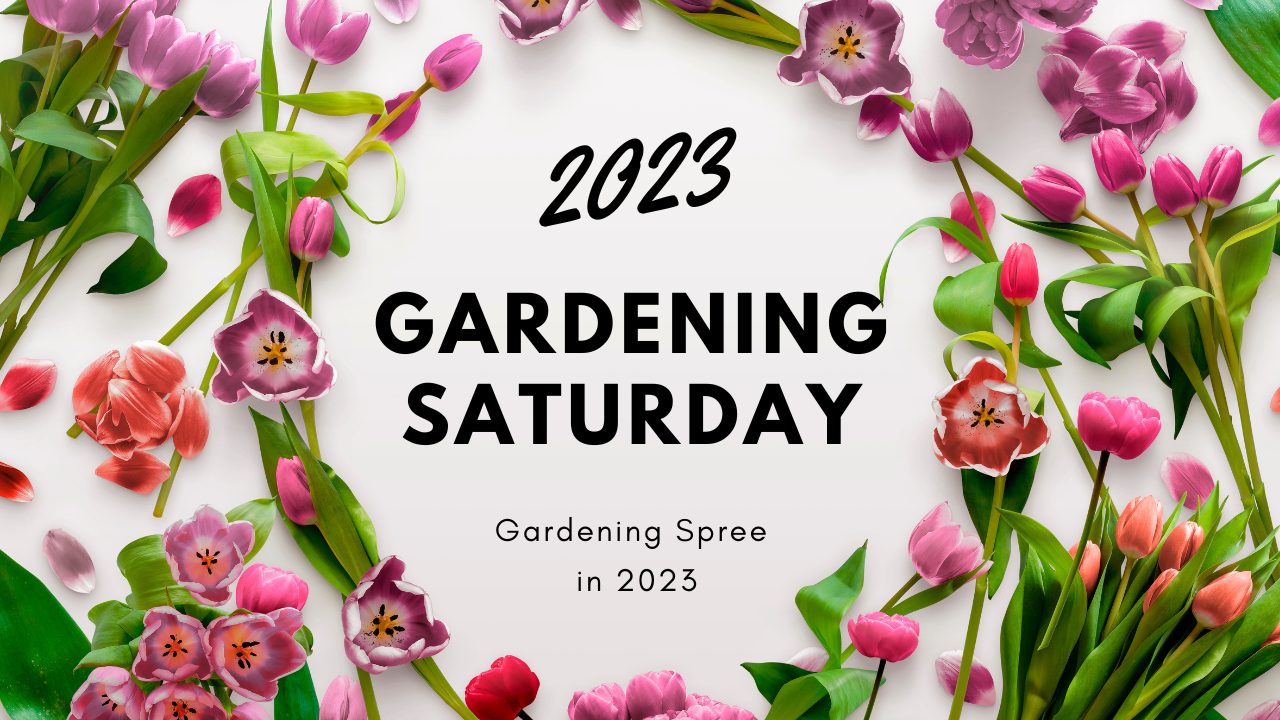Gardening Saturday - Gardening Spree in 2023