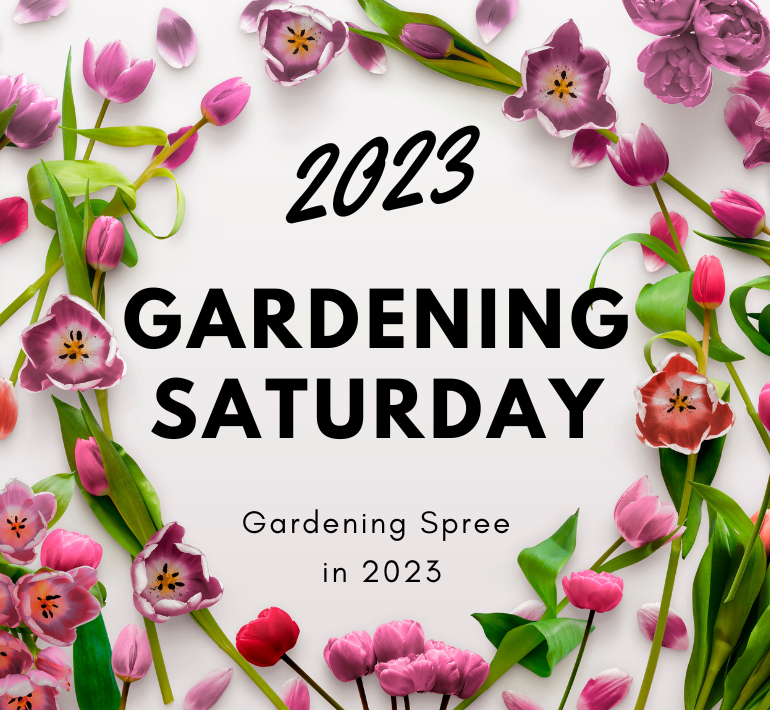 More Info for Gardening Saturday - Gardening Spree in 2023